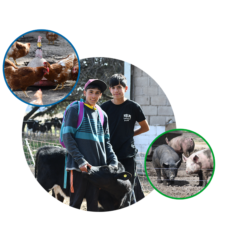 Imágenes Granja Siquem